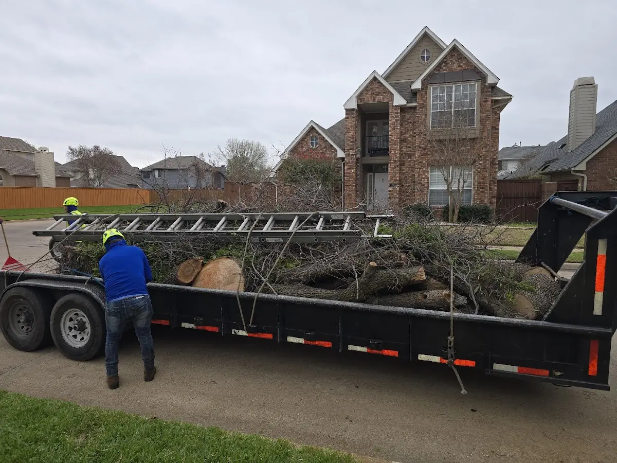 Expert Tree Pest Control with proper safety equipment in Circle